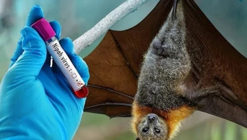 Trung Quốc phát hiện thuốc COVID-19 chống virus Nipah hiệu quả