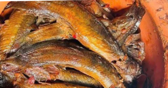 Loại cá từng bị 'ghẻ lạnh', chê bẩn nay thành đặc sản 'sâm nước'