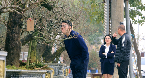 Thuê đào cổ chơi Tết nở rộ ở Thanh Hóa, có cây giá tới 150 triệu đồng