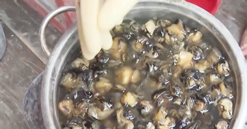 Vì sao 500 tấn hóa chất dùng ngâm ốc tuồn ra thị trường suốt 5 năm mới bị phát hiện?