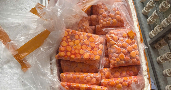 Hà Nội: Chặn đứng 3 xe container chở hơn 12 tấn 'đặc sản' sụn gà, trứng non không rõ nguồn gốc