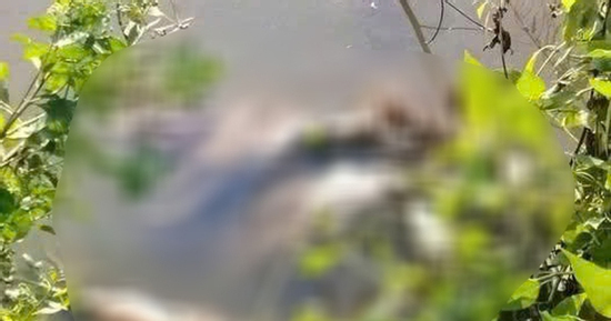 Lời khai của nghi phạm sát hại nữ sinh lớp 7 ở Cà Mau