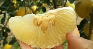 Bưởi giúp giảm cân, có ăn thay rau được không?