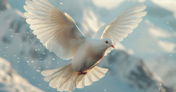 Ngày sinh Âm lịch báo hiệu phúc lành: Dù vất vả đến đâu, sau 35 tuổi cũng chạm ngõ bình yên