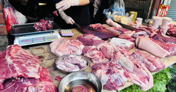 Chi 1,95 tỷ USD nhập thịt, cận Tết Bính Ngọ giá lợn hơi vẫn leo thang