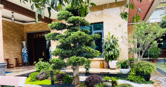 Những việc nên làm dịp cuối năm để chiêu tài lộc, gặp nhiều may mắn trong năm mới