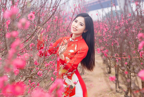 Bộ Nội vụ thông báo lịch nghỉ Tết Nguyên đán Đinh Mùi 2027