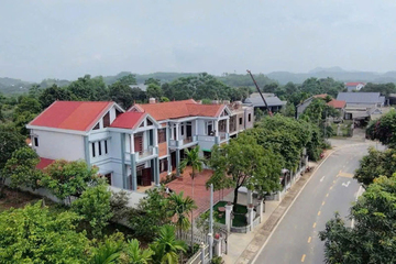 5 anh em ở Phú Thọ xây nhà quây quần trên đất 3.000m2, không tường rào ngăn cách