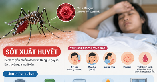 An Giang ghi nhận hơn 2.000 ổ dịch sốt xuất huyết