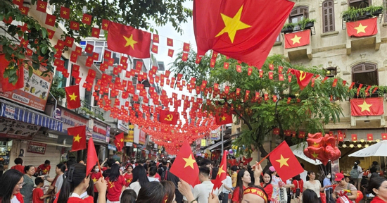 Chính phủ đồng ý nghỉ Tết Đinh Mùi 7 ngày, Ngày Văn hóa Việt Nam 1 ngày