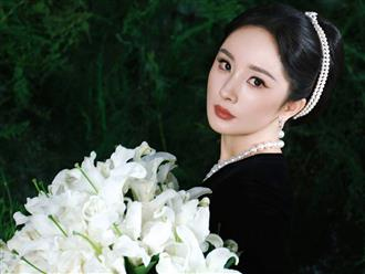 Đúng ngày mai, thứ Sáu 23/10/2026, cát tinh soi chiếu, 3 con giáp sau song hỷ lâm môn, khó khăn dần được giải quyết, tình tiền hanh thông