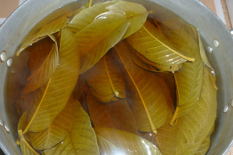 Tin uống nước lá ổi, mướp đắng thải độc, người đàn ông nhận kết quả bất ...