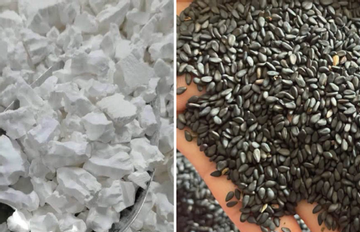 Sắn dây kết hợp mè đen - bộ đôi dưỡng thận, khỏe xương