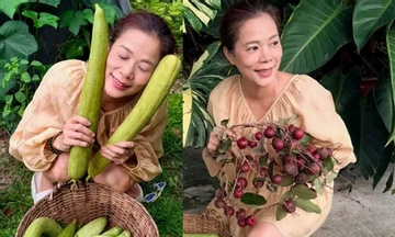 Nữ ca sĩ từng chạy 8-9 show/ngày, nay là Phó Chủ tịch tập đoàn, sở hữu khu vườn trái sai trĩu, hái không kịp