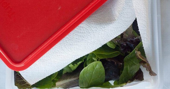 Các bước bảo quản rau trong tủ lạnh tươi lâu trong những ngày Tết Nguyên đán chỉ bằng 1 tờ giấy