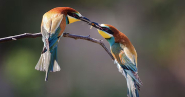 Ngày sinh Âm lịch 'vượng số': Cả đời ít sóng gió, sống an nhàn hơn người