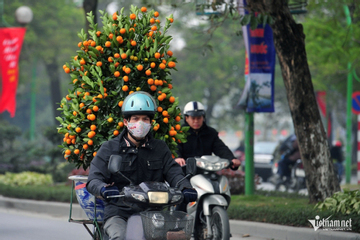 Dự báo thời tiết 11/2/2026: Hà Nội sáng mưa nhỏ rải rác, nhiệt độ cao nhất 22 độ