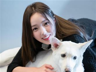 Đúng thứ Sáu 13/2/2026, 3 con giáp là chuột sa hũ vàng, sự nghiệp thăng tiến, ôm trọn tài lộc trong thiên hạ