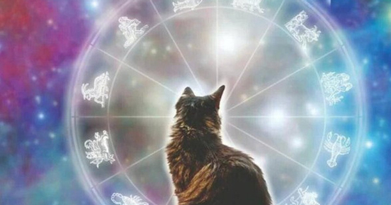 5 con giáp phạm Thái Tuế năm 2026 và cách cúng giải hạn hiệu quả