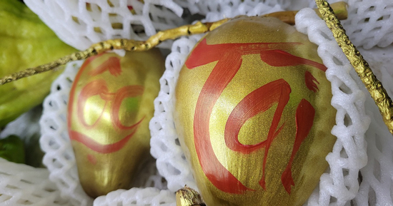 Loại quả dát vàng chỉ bán ngày Tết vì quan niệm mang 'lộc', 'tài', giá đắt đỏ vẫn 'cháy' hàng