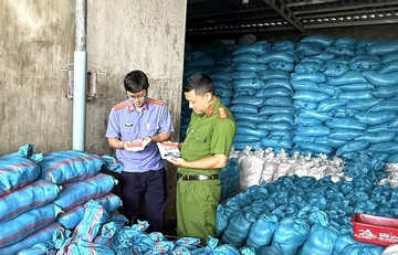 Nữ giám đốc gần 70 tuổi bán 1.700 tấn muối i-ốt giả trong một năm