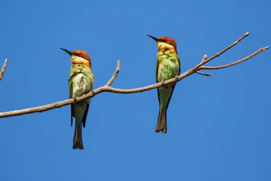 4 tháng sinh Âm lịch của người mang số phát đạt, hậu vận an nhàn, con cháu hiếu thuận