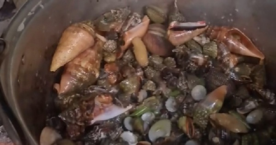 Nữ vlogger ẩm thực tử vong sau khi ăn phải 