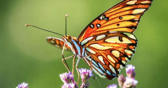 Sống tốt chưa chắc bằng sinh đúng ngày: 4 ngày Âm lịch đại cát, phúc lộc kéo dài nhiều thế hệ