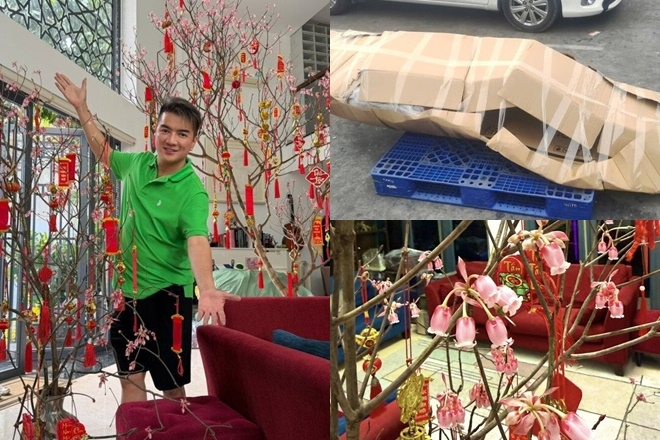 Cành đào chuông Yên Tử lạ mắt 'vượt ngàn trùng' đến tay Đàm Vĩnh Hưng