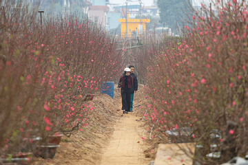 Dự báo thời tiết ngày 27 Tết: Người dân cần chú ý điều gì?