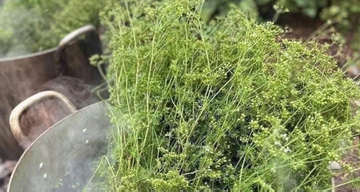 Xông lá mùi già ngày Tết, không phải ai cũng nên làm