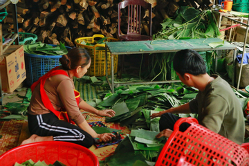 Thủ phủ nghề làm bánh chưng ngon nức tiếng xứ Huế tất bật ngày cận Tết