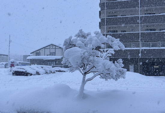 18 người thiệt mạng, 249 người bị thương do tuyết rơi dày kỷ lục tại Nhật Bản