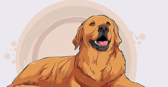 Tử vi tuổi Tuất năm 2026: Thành công và may mắn trên mọi phương diện