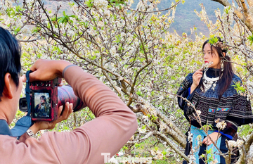 Kiếm bộn tiền nhờ dịch vụ 'sống ảo' ăn theo mùa hoa Mộc Châu