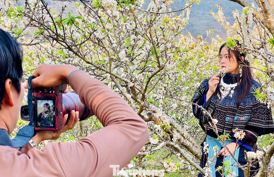 Kiếm bộn tiền nhờ dịch vụ 'sống ảo' ăn theo mùa hoa Mộc Châu