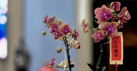 Sau Tết, điều còn đọng lại là gì?