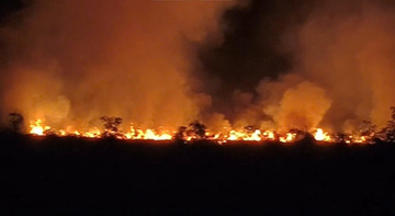 Gần 140 người dập tắt đám cháy ở Khu bảo tồn Phú Mỹ tại An Giang