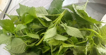 Top các loại gia vị giúp cơ quan tiêu hóa khỏe mạnh sau Tết