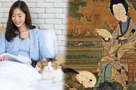 Vì sao người Trung Quốc cổ nhận nuôi mèo phải làm nghi lễ như đám cưới?
