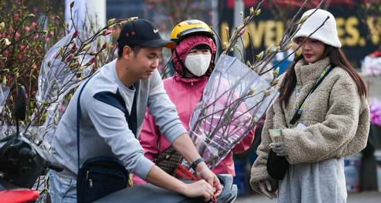 Loại hoa ‘ngủ đông’ mới lạ vừa xuất hiện ở Hà Nội đã gây sốt