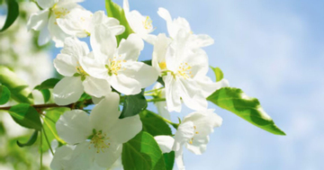 Số cuối ngày sinh Âm lịch tiết lộ người sâu sắc, đã cam kết là không rời bỏ