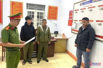 Bắt tạm giam giám đốc công ty sản xuất hơn 200 tấn lúa giống giả