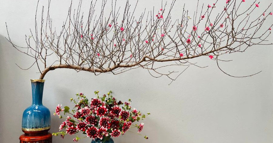 Mẹo chọn đào đẹp và phong thủy cho ngày Tết 2026