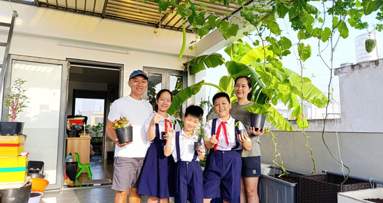 Ông bố 3 con ở TPHCM biến sân thượng từ nhà đến công ty thành vườn rau xanh mướt