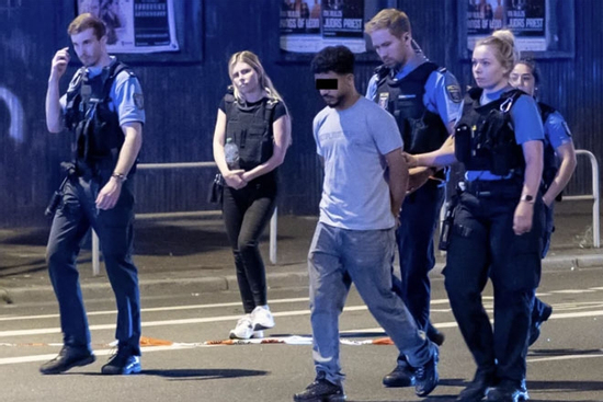 Truy tố kẻ tông chết cặp song sinh người Việt tại Đức