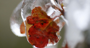 Không khí lạnh về muộn hơn, miền Bắc có thể giảm 8-10 độ vào ngày mai