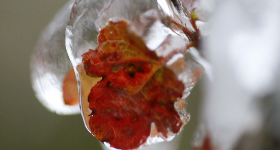 Không khí lạnh về muộn hơn, miền Bắc có thể giảm 8-10 độ vào ngày mai