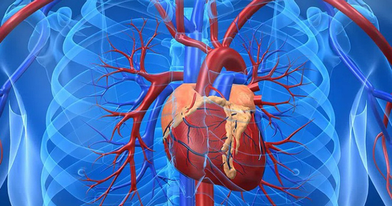 Người phụ nữ ở Quảng Ninh nguy kịch vì nhồi máu cơ tim cấp, bác sĩ khuyến cáo dấu hiệu cần nhập viện gấp