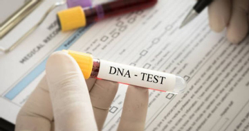 Xét nghiệm ADN ngày lễ: Từ niềm vui đoàn tụ đến bí mật gia đình bị phơi bày